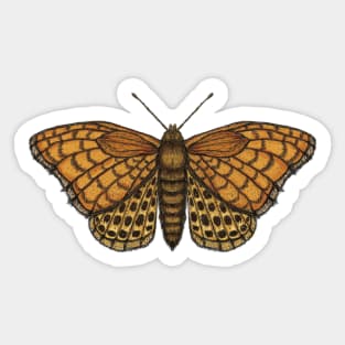 Orange Butterflies Sticker